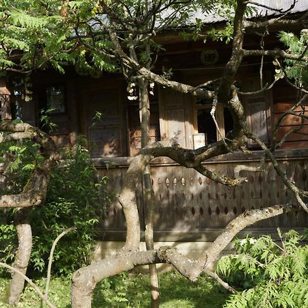 Woodenhouse Maramures Вишово-Вижнє Екстер'єр фото