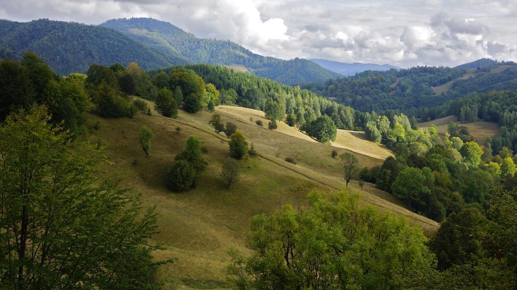 Woodenhouse Maramures Вишово-Вижнє Екстер'єр фото