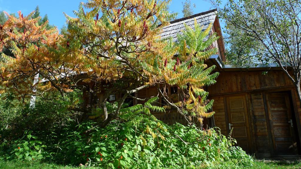 Woodenhouse Maramures Вишово-Вижнє Екстер'єр фото