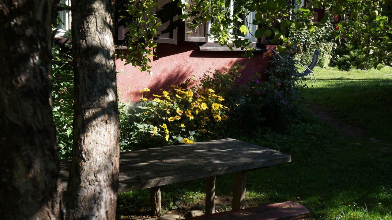 Woodenhouse Maramures Вишово-Вижнє Екстер'єр фото
